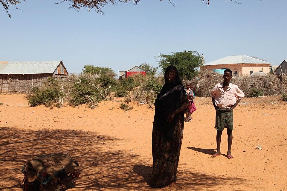 Somalia: US Airstrike Kills Two al-Shabab Members