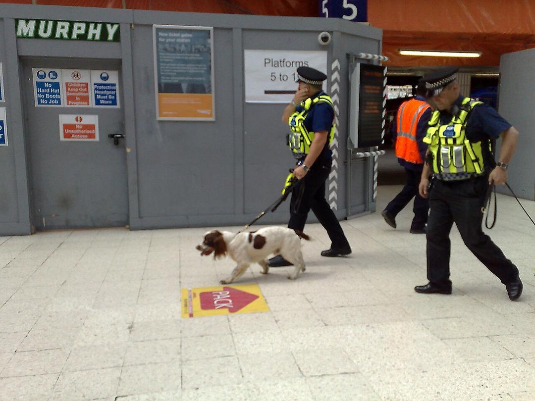 UK: Hunt for Terror Suspect After Prison Escape
