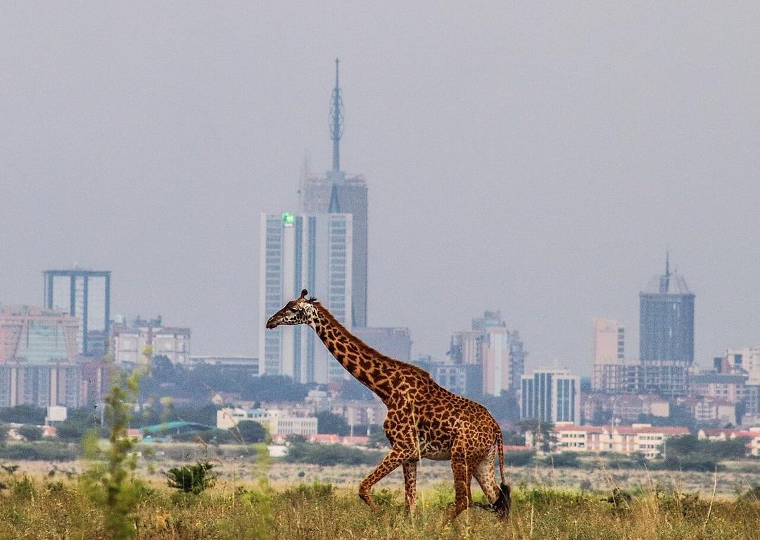 Nairobi: First African Climate Summit Underway