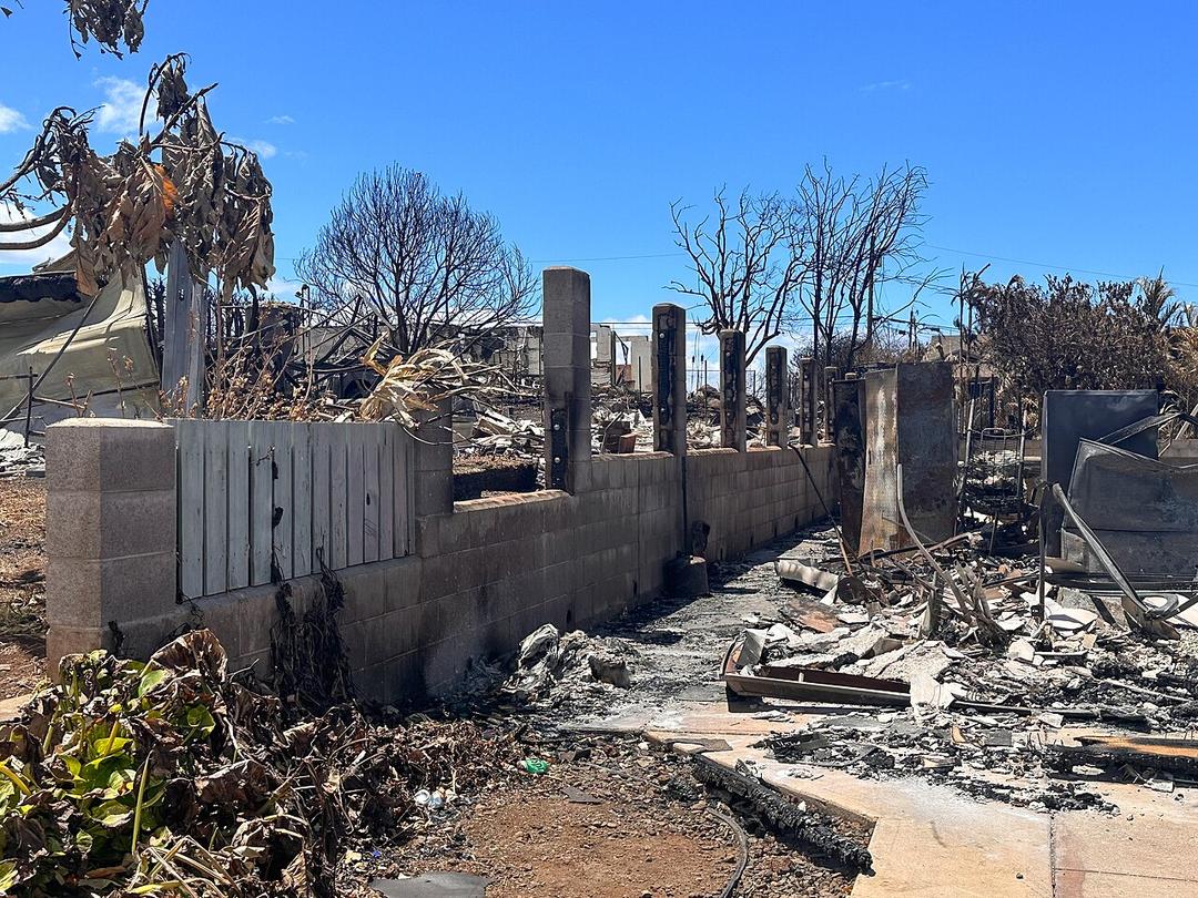 House GOP Committee to Investigate Federal Response to Maui Wildfires