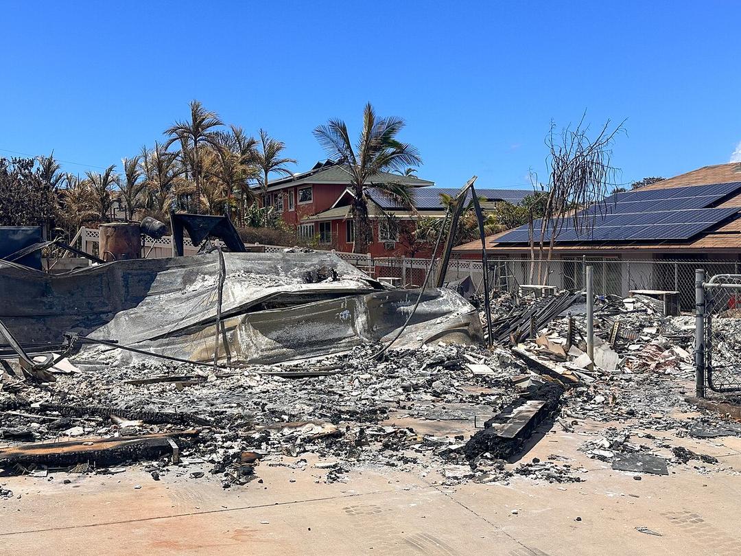 Maui Fires: County Emergency Manager Resigns