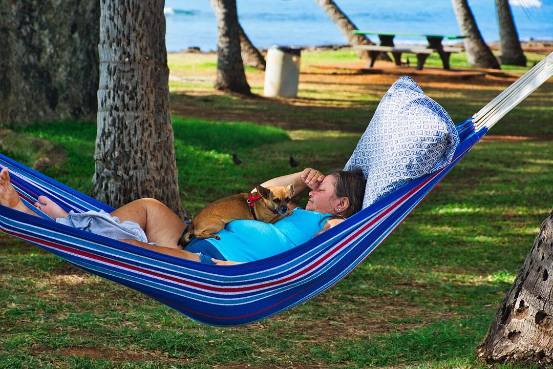 Study: Naps Help the Brain With Healthy Aging