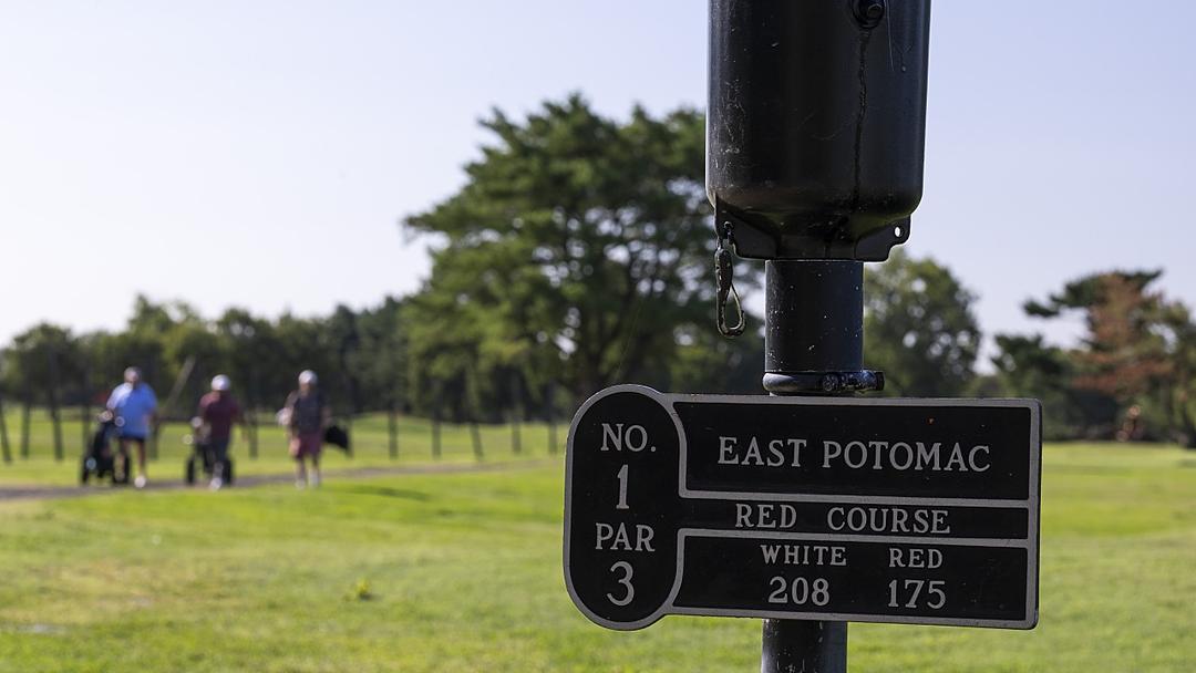 Judge Halts Tree Cutting at DC Golf Course