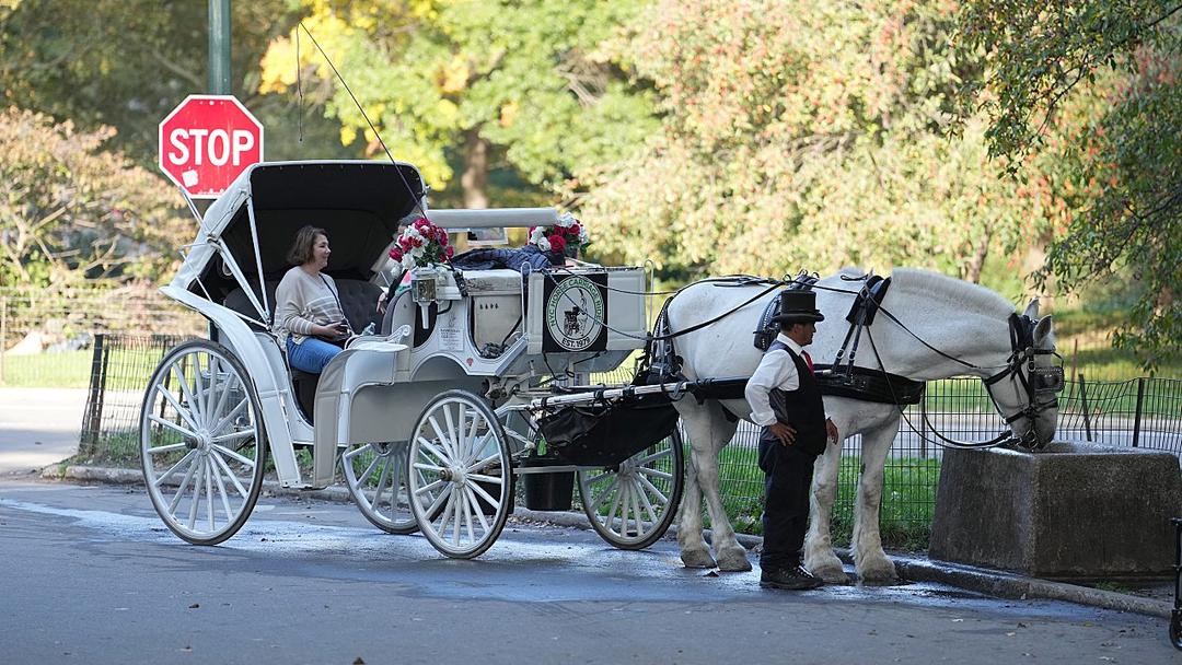 NYC Deal Would Ban Horse-Drawn Carriages by 2028