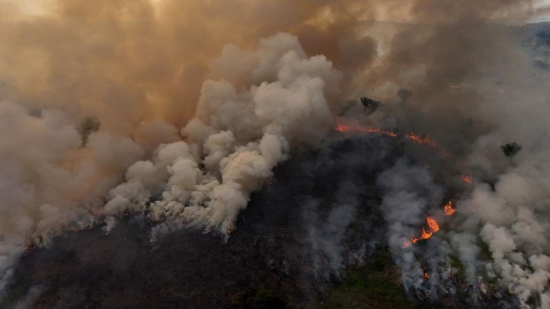 Brazil Probes Arson as Fires Surge in Amazon Rainforest