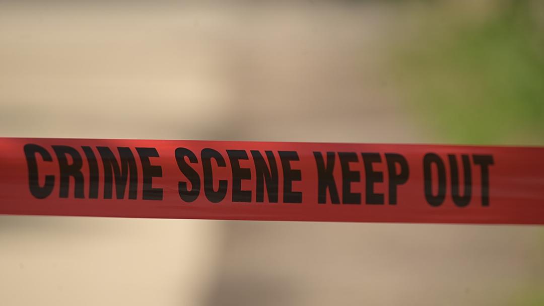 Teen Held in Alleged Plot to Attack Illinois Hindu Temple