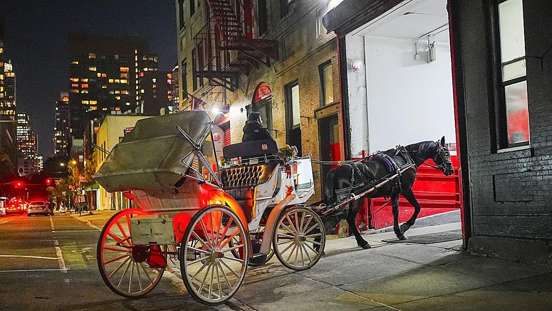 NYC Council Votes to Ban Horse Carriages by 2028