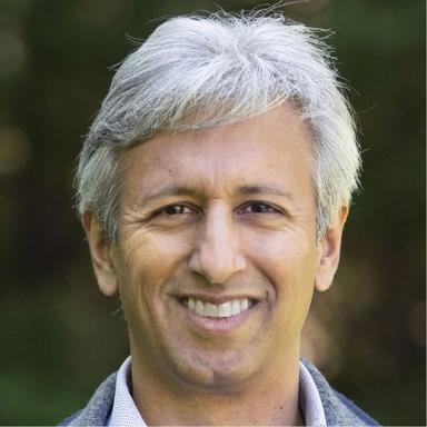 Manish Bapna