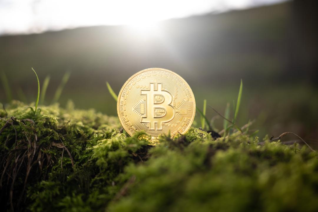 FTX Lawyers Say $5B in Crypto Assets Uncovered