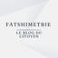 Fatshimetrie