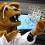 Lions Talk Science