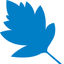 Starleaf Blog