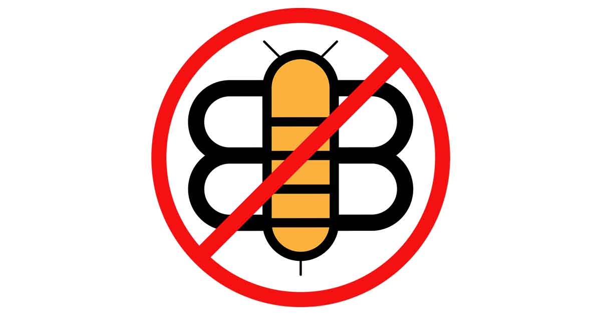 Not the Bee