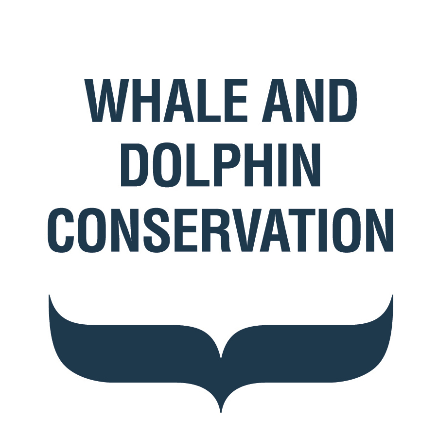 Whale & Dolphin Conservation UK